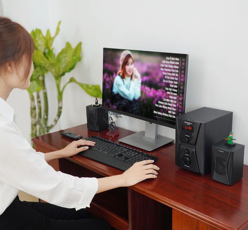 Loa SoundMax A828