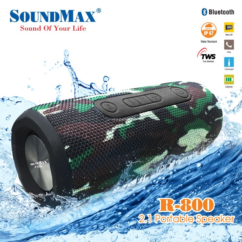 Loa SoundMax R-800