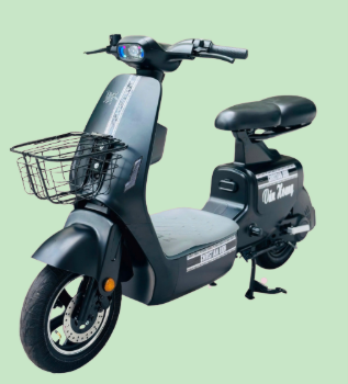 Xe đạp điện V1 Plus