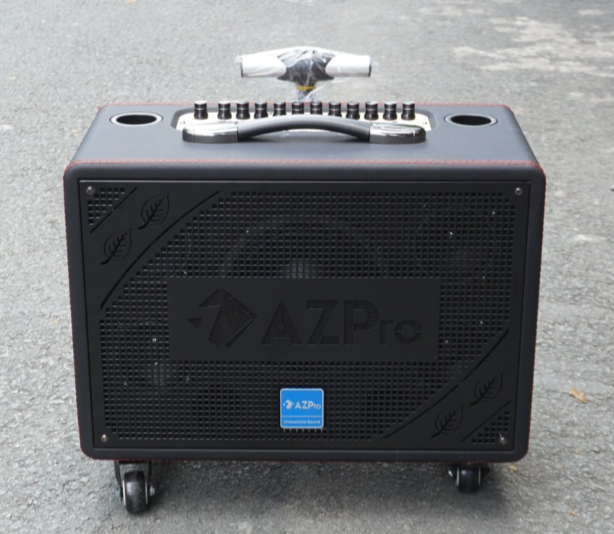 Loa Karaoke AZ-316