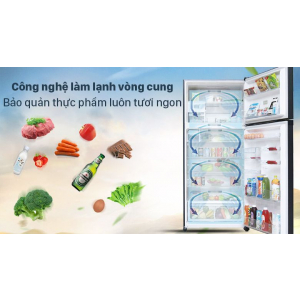 Tủ Lạnh Panasonic NR-TV261APSV 234 Lít Inverter