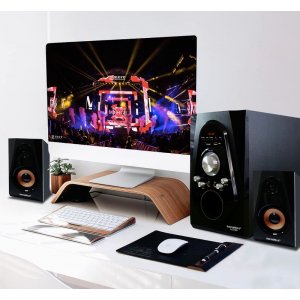 Loa Soundmax A-2120