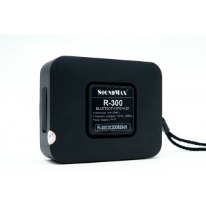 Loa Soundmax R300