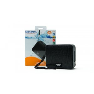 Loa Soundmax R300