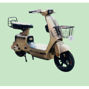 Xe đạp điện V1 Plus