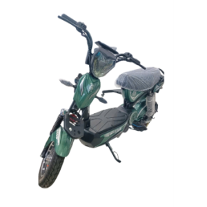 Xe đạp điện GKK Bike