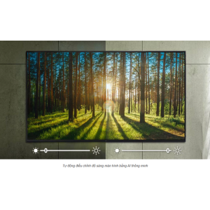 Tivi LG 55 inch Smart 4K 55UQ7050PSA.ATVQ vat