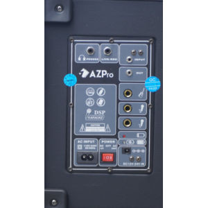 Loa Karaoke AZ-316
