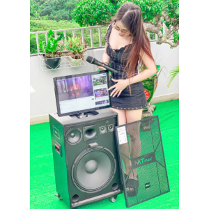 Loa Kéo Có Màn Hình MTMAX TB3336 / 19 inch / 500W